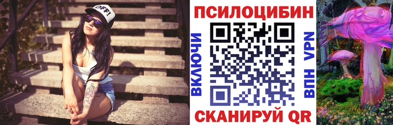 Галлюциногенные грибы GOLDEN TEACHER  Гвардейск 
