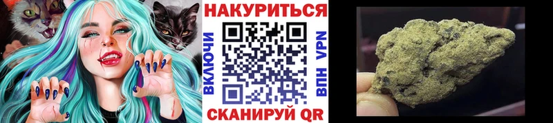блэк спрут ТОР  Гвардейск  МАРИХУАНА ГИДРОПОН  что такое  